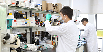 ���ޱ�Ӯ���ʡ�437ccm(�й���)�ٷ���վ