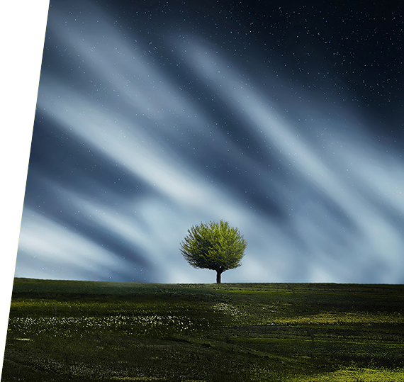 ���ޱ�Ӯ���ʡ�437ccm(�й���)�ٷ���վ